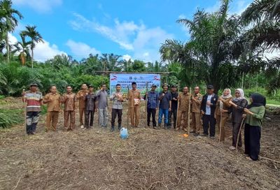 Dukung Ketahanan Pangan, Bhabinkamtibmas Desa Dataran Pinang Turun Ke Sawah Tanam Jagung Bersama Warga