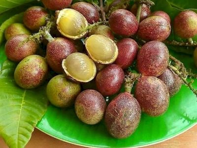 Buah Matoa hingga Bitua Jadi Harta Karun Alam Papua