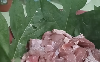Rahasia Daging Kambing Empuk Ternyata Ada pada Daun Pepaya