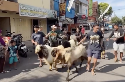 Arak-Arakan Kurban Kidul Pasar, Tradisi Syiar yang Terjaga Sejak 1985 di Kota Malang
