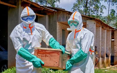 Thailand Terapkan Karantina 21 Hari bagi Pelancong dari Kongo dan Uganda Akibat Wabah Ebola