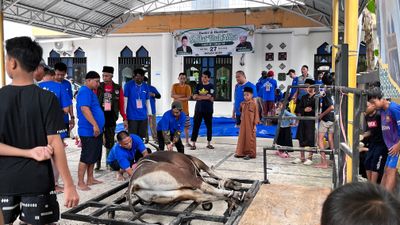 Masjid Quba Tarakan Bagikan Daging Kurban kepada 600 Warga Penerima Manfaat