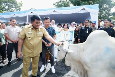 Idul Adha, 46 Hewan Kurban dari PemProv Sulut Disembelih