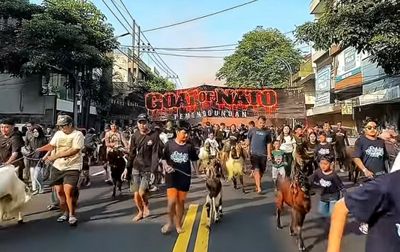 Takbir Bergema di Jalan Gatot Subroto, Arak-arakan Hewan Kurban Jadi Hiburan Warga