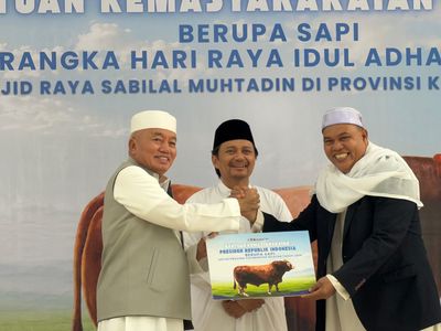 Presiden Prabowo Sumbang Sapi Kurban 1 Ton ke Masjid Raya Sabilal Muhtadin Kalsel pada Iduladha 2026