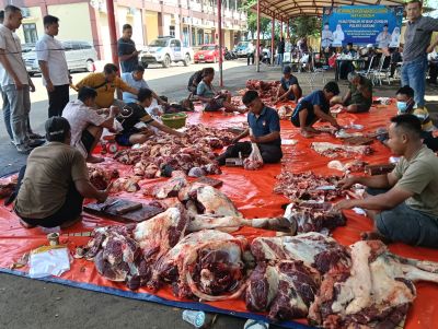 Polres Serang Salurkan 6 ekor sapi dan 28 ekor kambing Pada Moment Idul Adha 1447 H