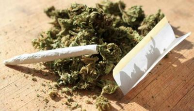 FA Anak Bupati Pelalawan Zukri Misran di Riau Positif Ganja, BNN Pekanbaru :Terpapar Asap Ganja di THM