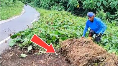Bersihkan Rumput Liar yang Tutupi Setengah Jalan Raya, Penjual Sayur Keliling Ini Tuai Pujian Warganet
