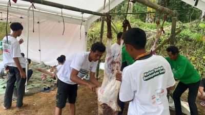 Program Kurban BAZNAS 2026 Gandeng Peternak Desa di 15 Provinsi