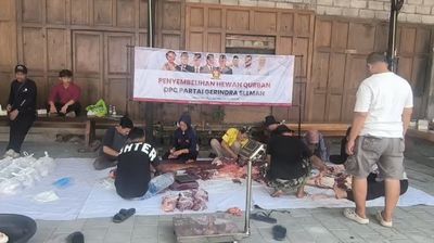 Idul Adha 2026 : Atas Nama Dirinya Hingga Anaknya, Titiek Soeharto Sebar 7 Sapi Kurban di Sleman dan Masjid Gedhe Kauman
