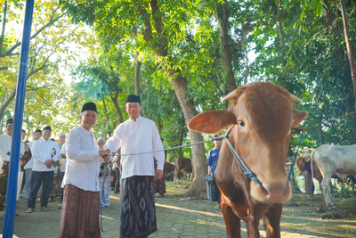 UNNES Rayakan Iduladha dengan Aksi Sosial, 13 Sapi dan 8 Kambing Dibagikan ke Warga
