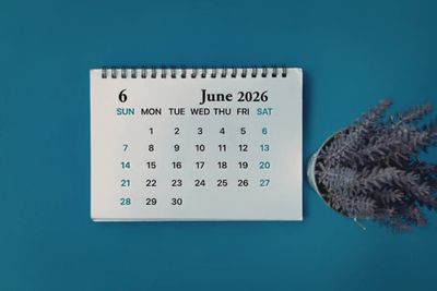 Rangkuman Hari Besar Internasional Juni 2026: Momentum Global Penyelamatan Lingkungan Hingga Isu Kemanusiaan