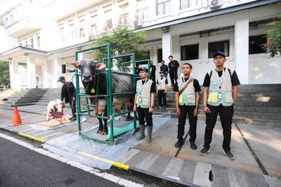 DKPP Bandung Pastikan Daging Kurban Aman, Temuan Hanya Bersifat Minor