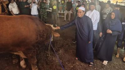 Dana Kurban Baznas Kabupaten Bandung Tembus Rp2,1 Miliar pada Iduladha 1447 H