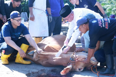 Kurban Sampai Pelosok! UNS Distribusikan 166 Kambing dan 13 Sapi ke Berbagai Daerah