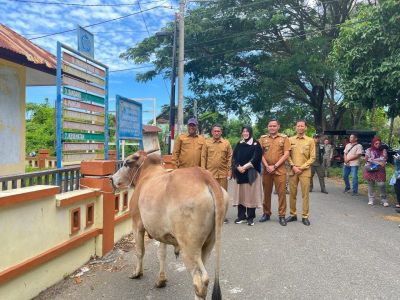 Iduladha 1447 H, Pemko Banda Aceh Salurkan 24 Hewan Kurban untuk Warga