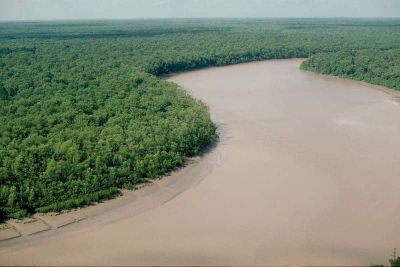 Mamberamo, Sungai Raksasa yang Dijuluki Amazon-nya Papua