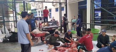 Semangat Berkurban! Kanwil Kemenag Aceh Salurkan Daging dari 9 Ekor Sapi untuk Masyarakat