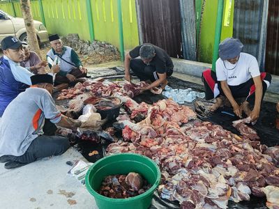 Kemenag Subulussalam Sembelih 2 Sapi Kurban, Perkuat Semangat Berbagi di Iduladha 1447 H