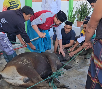 Idul Adha 1447 H, ASN Kemenag Aceh Tengah Kurban 74 Ekor Hewan