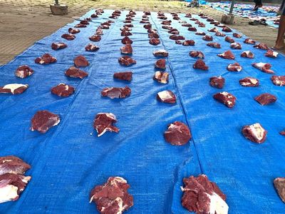 Panduan Lengkap Formula Pembagian Daging Kurban Sesuai Syariat Islam