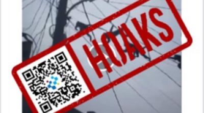 Viral Monyet Ganggu Listrik Sumatra? Ini Faktanya yang Sebenarnya