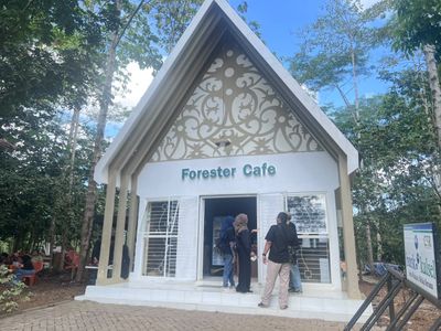 Inovasi PAD: Pemprov Kalsel Resmikan Kafe Forester 3 di Banjarbaru, Berdayakan Petani Hutan