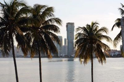 5 Tempat Wisata di Miami Dekat Hard Rock Stadium yang Bisa Dikunjungi Selama Piala Dunia 2026