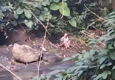 Nenek Sebatang Kara Penghuni Liposos Jember Ditemukan Menangis di Pinggir Sungai Setelah Kabur