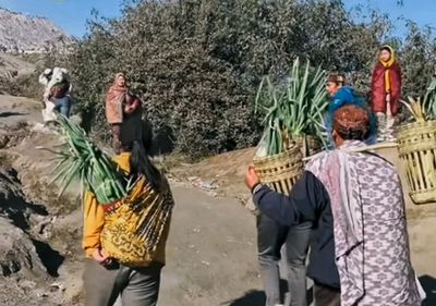 Perayaan Yadnya Kasada, Masyarakat Tengger Siapkan Persembahan sebagai Wujud Syukur kepada Sang Pencipta