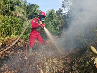 Karhutla di Rupat Bengkalis Belum Padam, Tim Gabungan dan Heli Water Bombing Terus Dikerahkan
