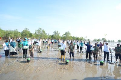 Peringati HKG PKK ke-54 dan Hari Lingkungan Hidup Sedunia, Pemprov Babel Gelar Aksi Tanam Mangrove