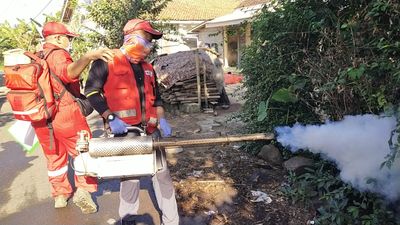 Kasus DBD Capai 12 Orang, PMI Jember Fogging Puluhan Rumah di Selodakon Tanggul