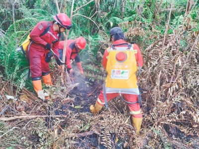 Karhutla Mengganas di Rohil dan Bengkalis, Satgas Kerahkan Pasukan Tambahan hingga Helikopter Water Bombing