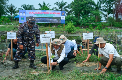 Pemprov Sumut Targetkan Penanaman Mangrove 27 Hektare pada 2026
