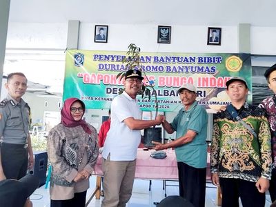 Pengembangan Durian Bawor Perkuat Fondasi Ekonomi Desa di Ranuyoso
