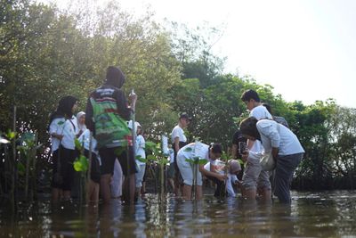 Yayasan Insive Bersama Alumni UGM Lakukan Aksi Konservasi Pesisir di Bantul: Tanam 100 Mangrove dan Lepas 20 Tukik