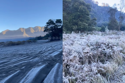 Musim Mbediding Tiba, Kota Malang Bersiap Menyambut Udara Dingin dan Fenomena Bunga Es di Bromo