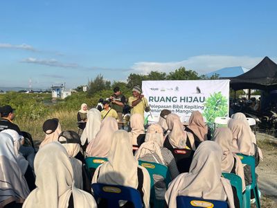 Ruang Lingkup Gelar Pelepasan Bibit Kepiting dan Penanaman Mangrove di Lampulo