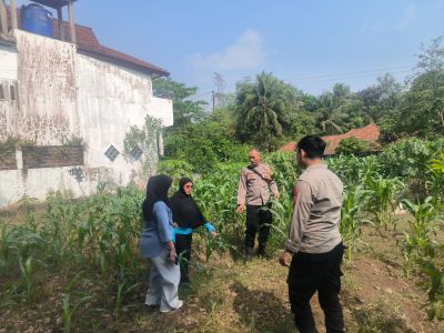 Antisipasi Musim Kemarau, Bhabinkamtibmas Polsek Plered Pantau Lahan Jagung Hibrida Milik Warga