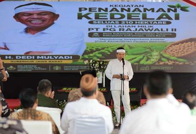 Dukung Swasembada Kedelai 2026, KDM Ajak Petani Jaga Kesuburan Lahan