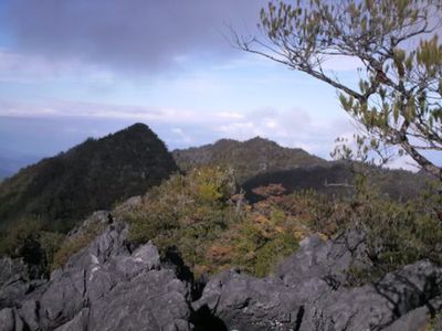 Taklukkan Atap Sulawesi Tenggara! Panduan Jalur Pendakian Gunung Mekongga yang Wajib Diketahui Pendaki