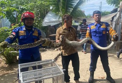 Butuh Bantuan Darurat? Simak Alamat dan Hotline Damkar Banda Aceh Lengkap