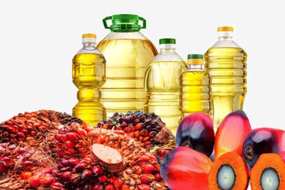 Bukan Cuma Buat Gorengan, Intip Ratusan Produk Turunan Kelapa Sawit yang Ada di Sekitarmu