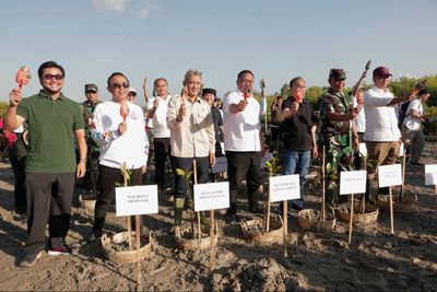 Aksi Hijau di Denpasar, 3.000 Mangrove Ditanam untuk Selamatkan Ekosistem Pesisir