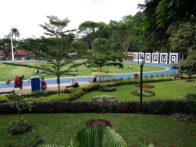 Liburan Hemat Dompet Happy: 3 Tempat Piknik Gratis dan Ramah Anak di Bogor!