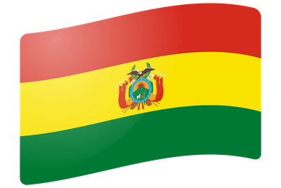 Presiden Bolivia Tetapkan Status Darurat untuk Atasi Gelombang Protes