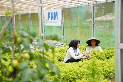 Indonesia Sustainability Award Apresiasi Komitmen ESG dan Pemberdayaan Berkelanjutan PNM