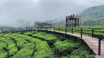 10 WISATA BUKIT GRATIS di JEMBER Lengkap dengan Tiket Masuk Terbaru 2026
