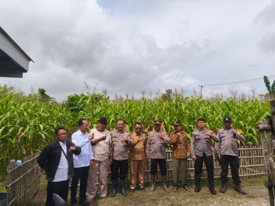 Kapolres Tinjau Tanaman Jagung Hibrida di Karawang, Jaga Ketersediaan Pangan Nasional